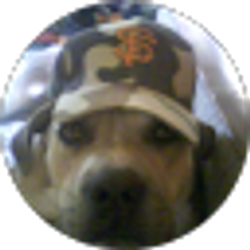Profile photo of Mike Speace