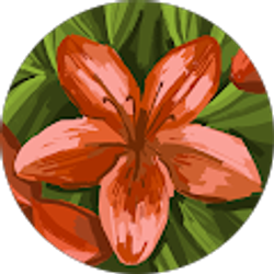 Profile photo of layla firestone