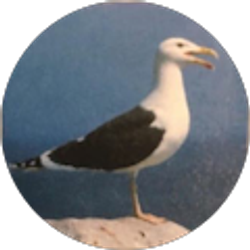 Profile photo of Weiland Cook