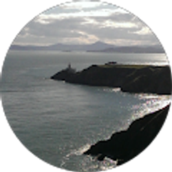 Profile photo of Larry Guttman