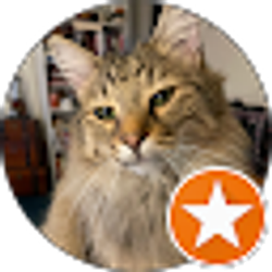 Profile photo of Dan Hepker