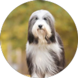 Profile photo of Andrea Hobe