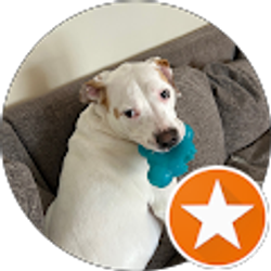 Profile photo of Lindsey Yount