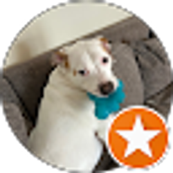 Profile photo of Lindsey Yount