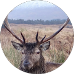 Profile photo of Darrick Hansen