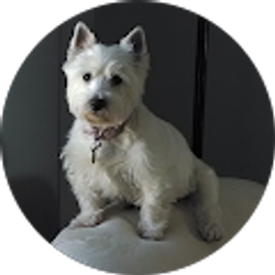 Profile photo of Nancy Bartels