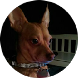 Profile photo of BabyGirl Sikes