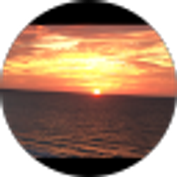 Profile photo of SJ
