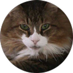 Profile photo of Steven Godby