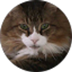 Profile photo of Steven Godby