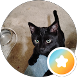 Profile photo of Good Morning