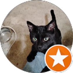 Profile photo of Good Morning