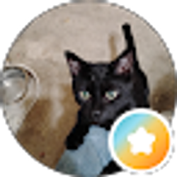 Profile photo of Good Morning