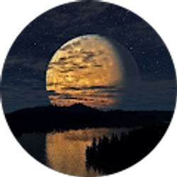 Profile photo of I am Mike