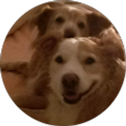 Profile photo of Lisa Robinson