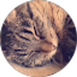 Profile photo of Jordan B