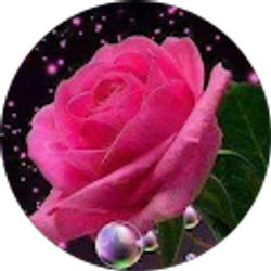 Profile photo of Isabel Noyola