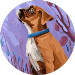 Profile photo of Maddy patterson