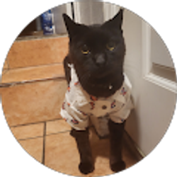 Profile photo of Brian Estrada