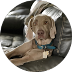 Profile photo of Kate Wilcox