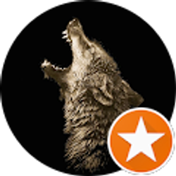 Profile photo of amber stewart (Amber Stewart)