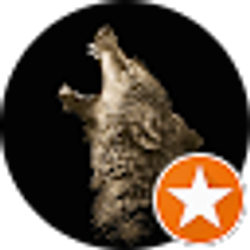 Profile photo of amber stewart (Amber Stewart)