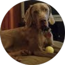 Profile photo of Juliann Worden