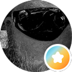 Profile photo of Will Jones