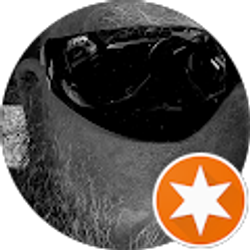 Profile photo of Will Jones