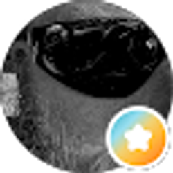 Profile photo of Will Jones