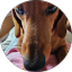 Profile photo of Cindy Stringer