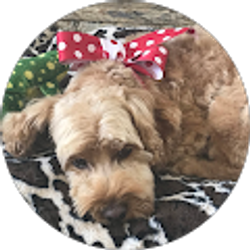 Profile photo of Susan