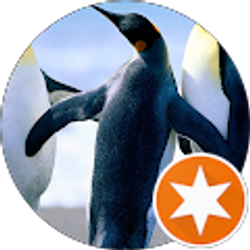 Profile photo of Jeremy Albright