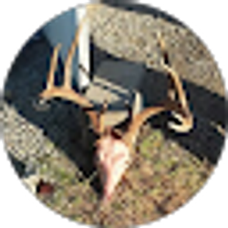 Profile photo of Aaron Doby