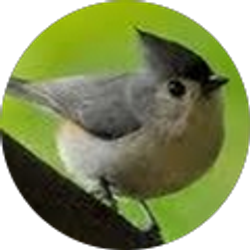 Profile photo of Kathleen Dickey