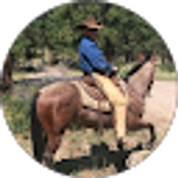 Profile photo of Dennis Brazeal