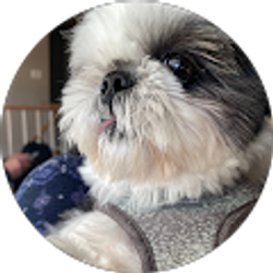 Profile photo of Rhonda Crider