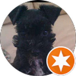 Profile photo of hieu doan