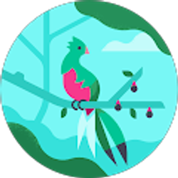 Profile photo of Alice Y