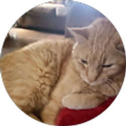 Profile photo of Brynna