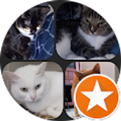 Profile photo of Michael Anthony Leggett