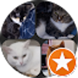 Profile photo of Michael Anthony Leggett