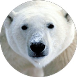 Profile photo of Phil Adams