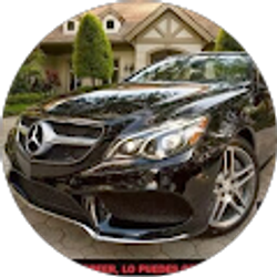 Profile photo of Joe D l