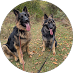 Profile photo of Kim Wojcik