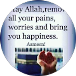 Profile photo of Ejaz ahmad Momand