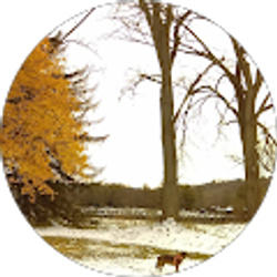 Profile photo of Chris