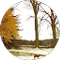 Profile photo of Chris