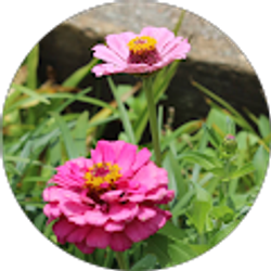 Profile photo of Jennifer Bell