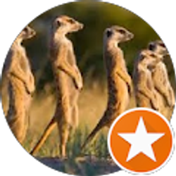 Profile photo of Audrey Runyan